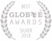 award-globe-silver